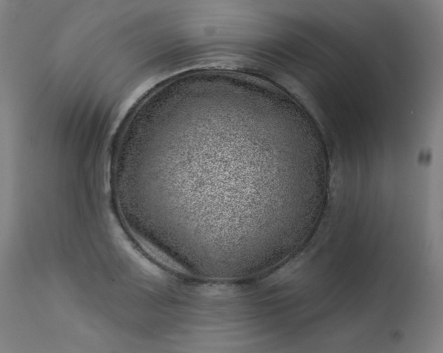 X0000112921083200909080928