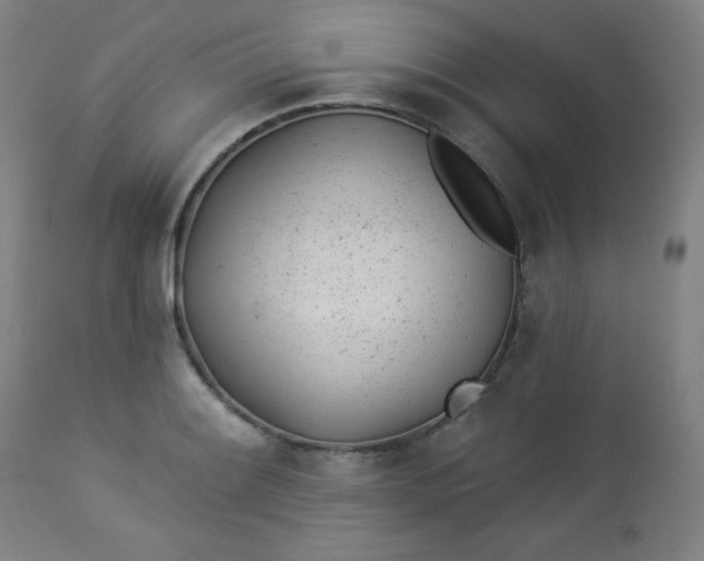 X0000112921084200909080928