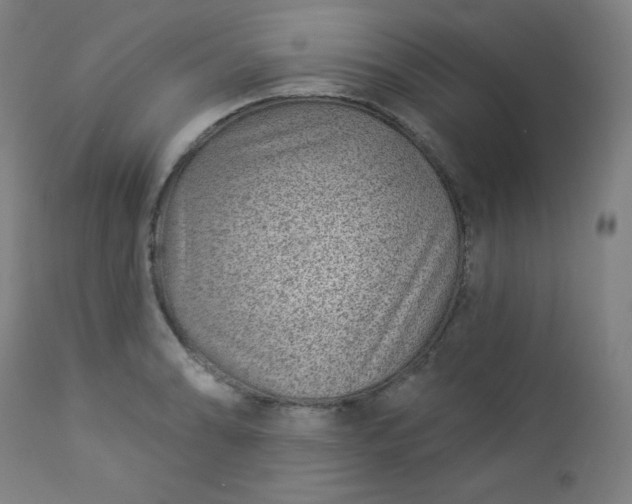 X0000112921086200909080928