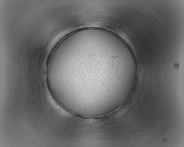 X0000112921088200909080928