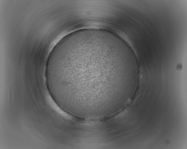 X0000112921091200909080928