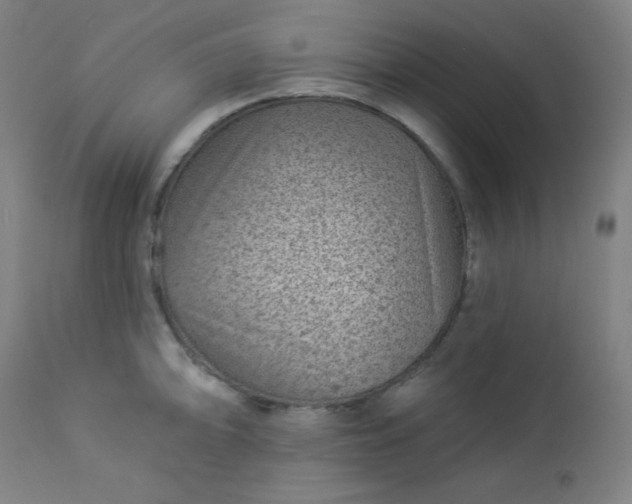 X0000112921094200909080928
