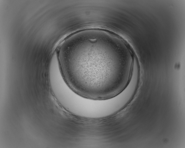 X0000112921097200909080928