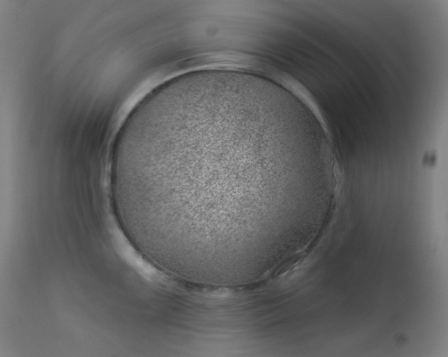 X0000112921099200909080928