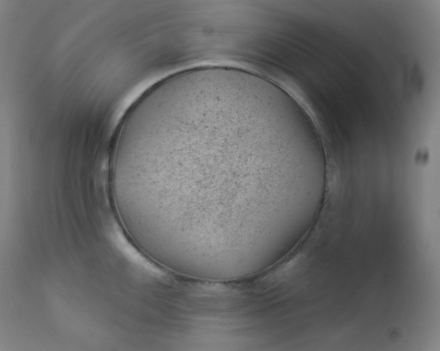 X0000112921100200909080928