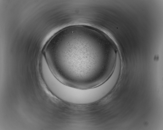 X0000112921101200909080928