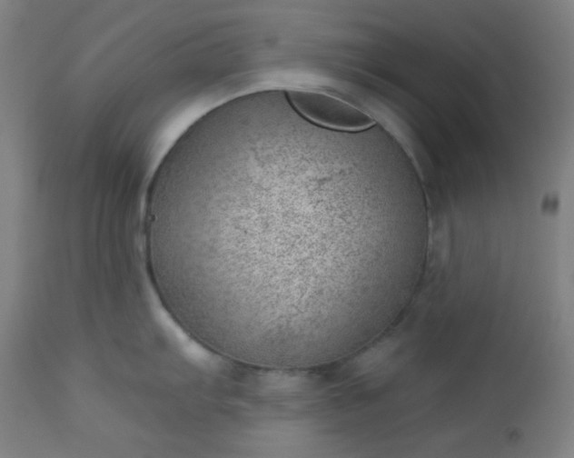 X0000112921103200909080928