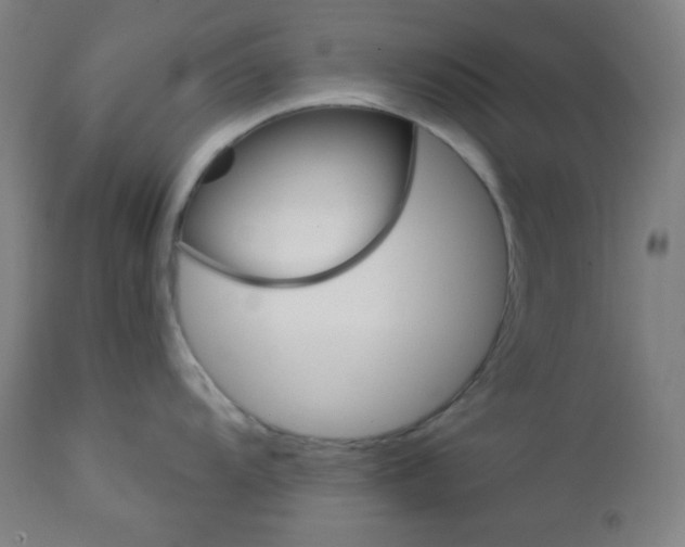 X0000112921104200909080928