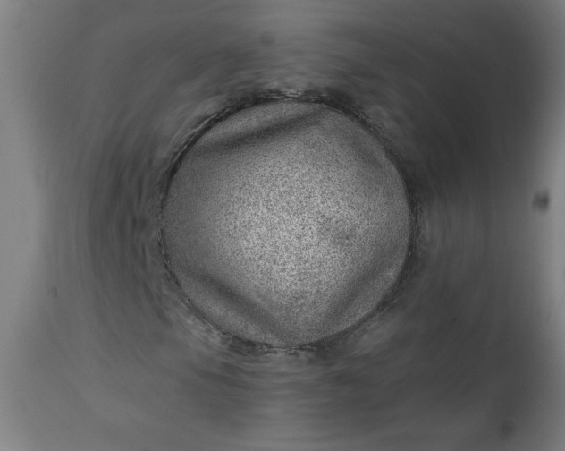 X0000112921105200909080927