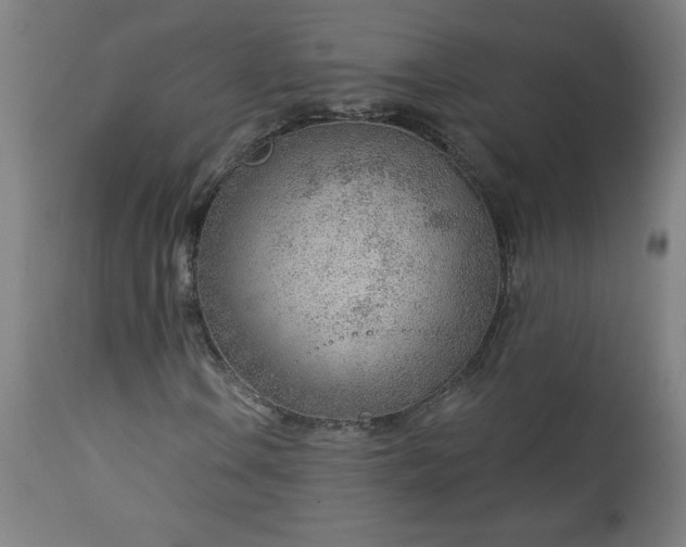 X0000112921106200909080927