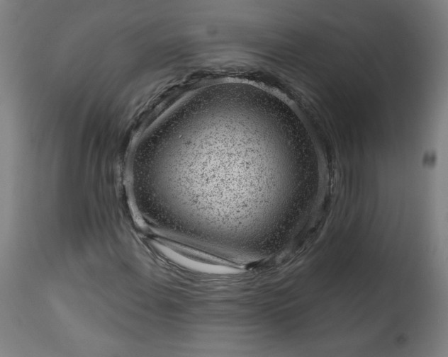 X0000112921108200909080927