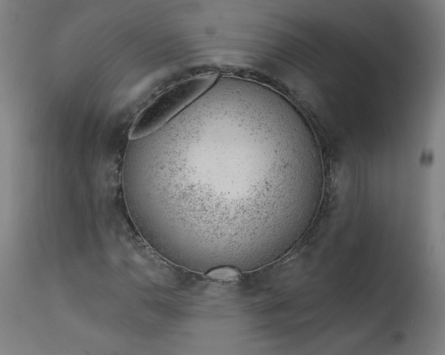 X0000112921110200909080927