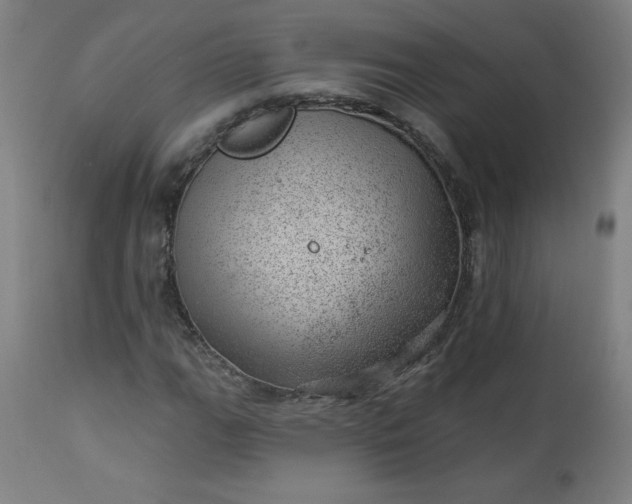 X0000112921111200909080927