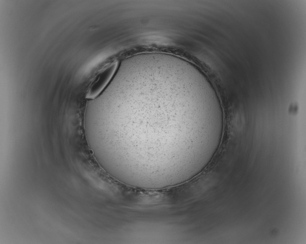 X0000112921112200909080927