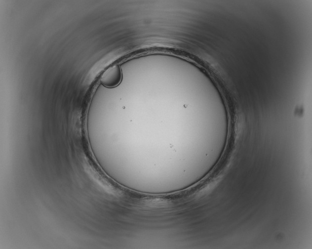 X0000112921113200909080927