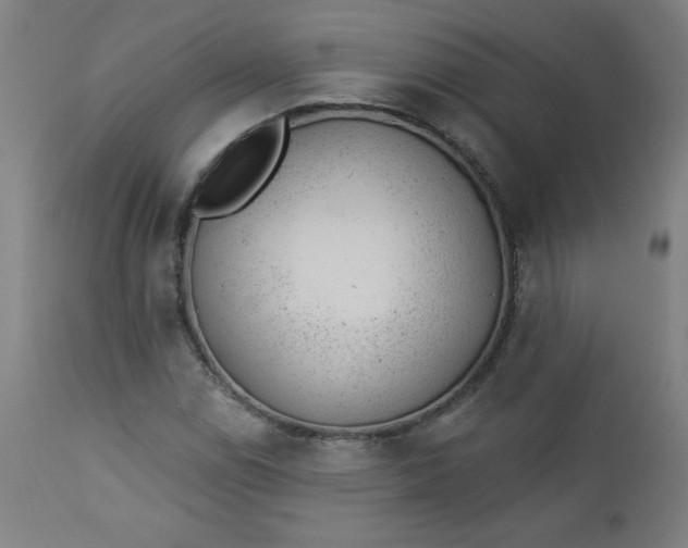X0000112921114200909080928