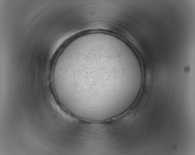 X0000112921116200909080928