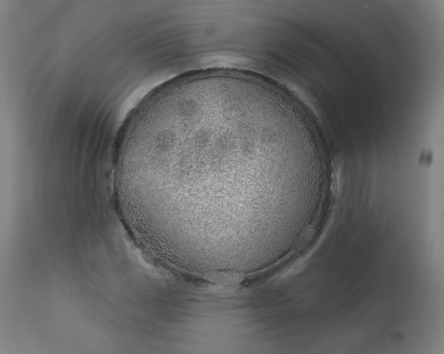 X0000112921117200909080928