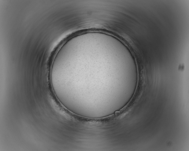X0000112921118200909080928