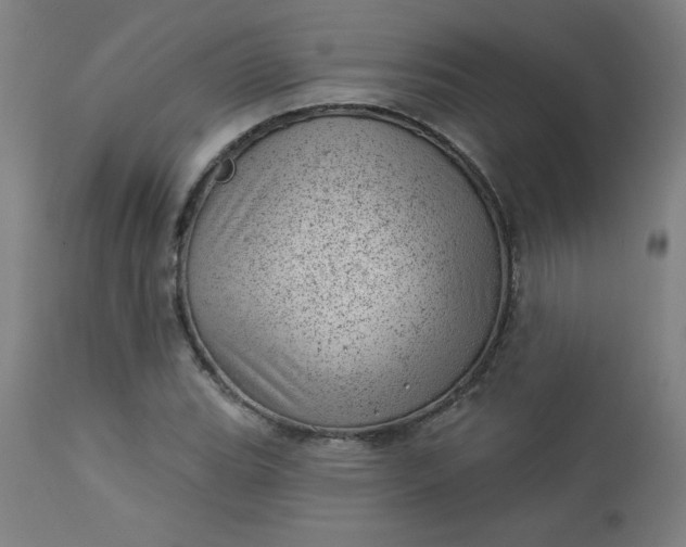 X0000112921119200909080928