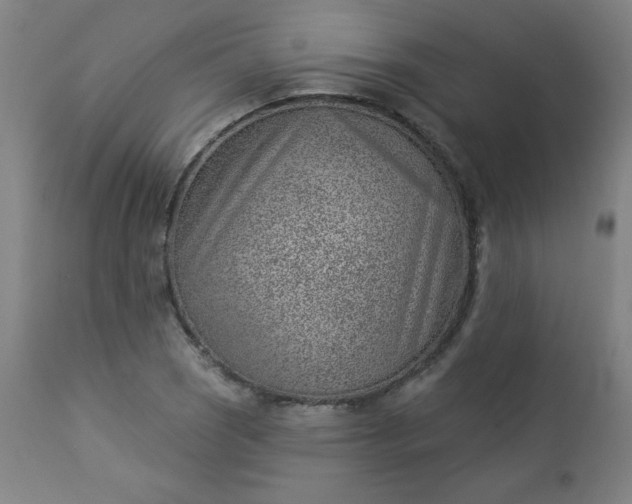 X0000112921121200909080928