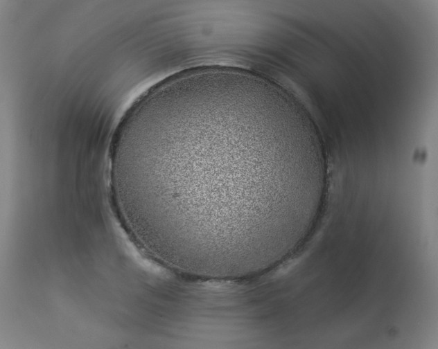 X0000112921125200909080928