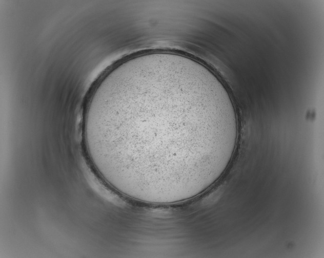 X0000112921126200909080928