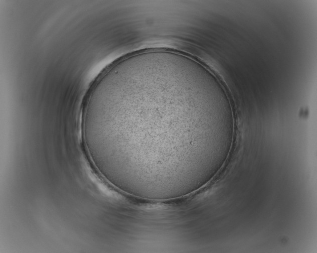 X0000112921127200909080928