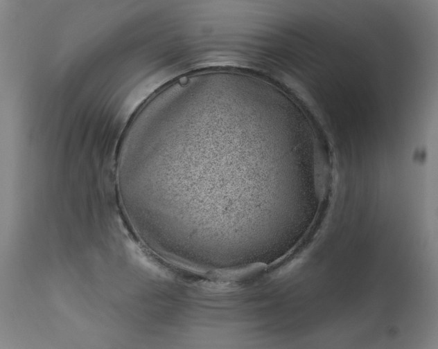 X0000112921129200909080928