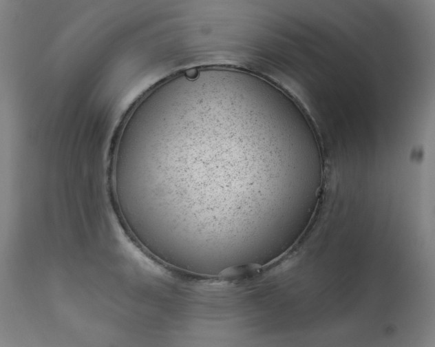 X0000112921135200909080928