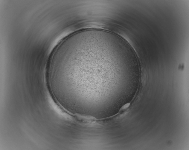 X0000112921139200909080928