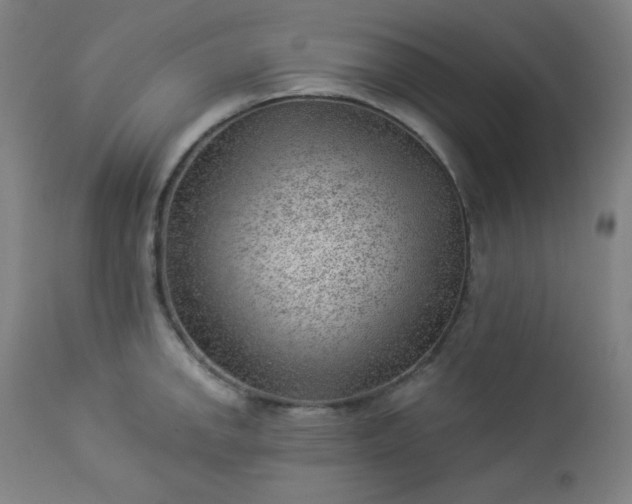 X0000112921142200909080928