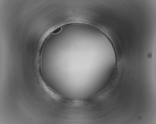 X0000112921144200909080928