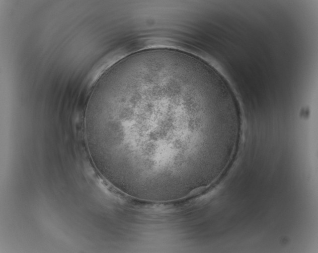 X0000112921145200909080928