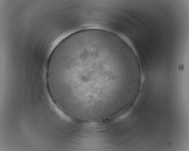 X0000112921149200909080928