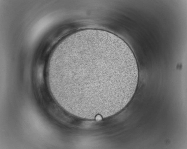 X0000112921150200909080928