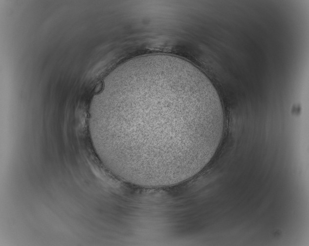 X0000112921154200909080927
