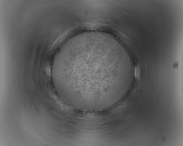 X0000112921155200909080927