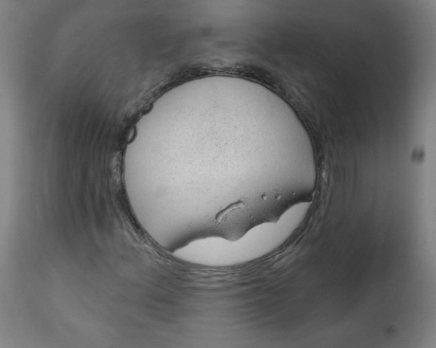 X0000112921156200909080927
