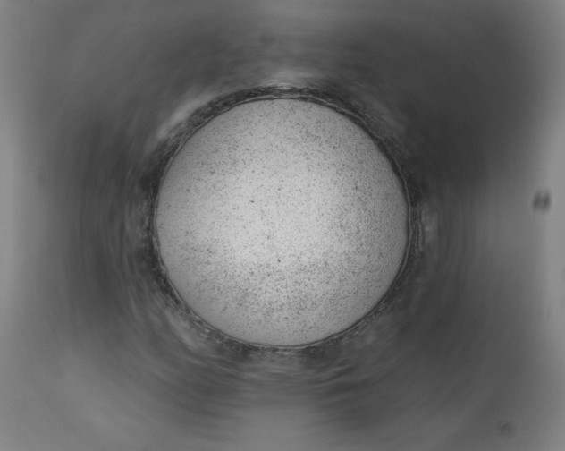 X0000112921158200909080927
