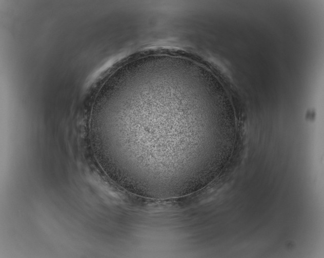 X0000112921159200909080927