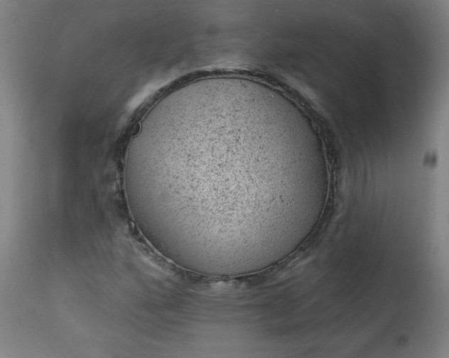 X0000112921160200909080927