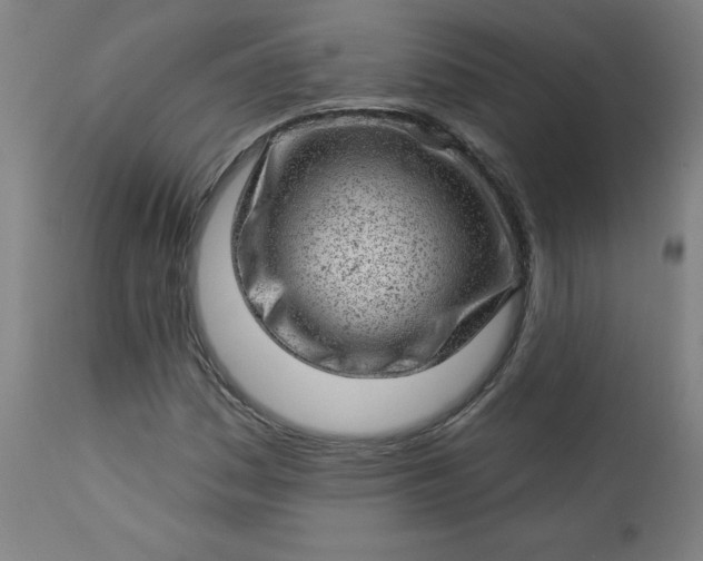 X0000112921161200909080927