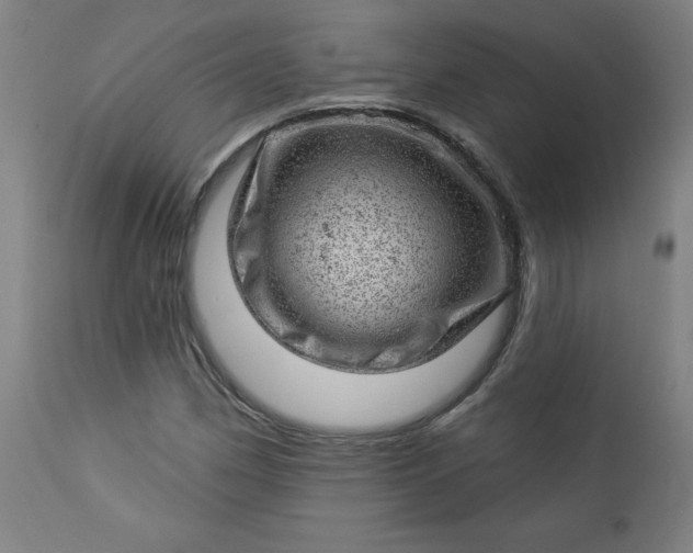X0000112921162200909080927