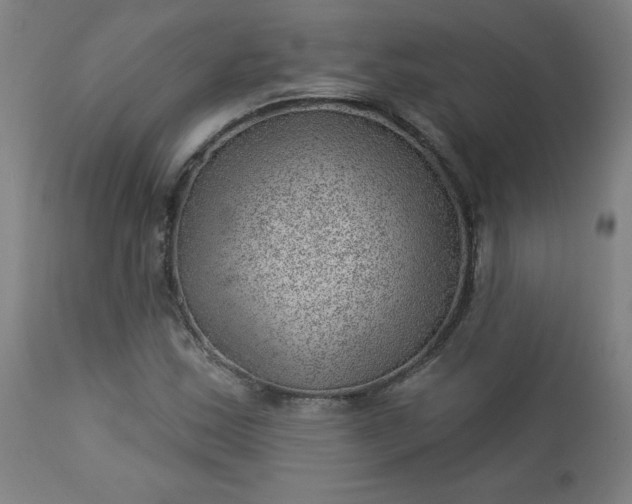 X0000112921163200909080927