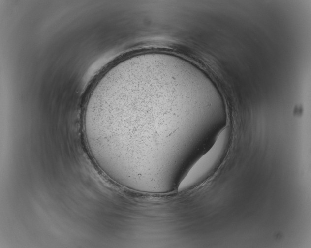 X0000112921164200909080927