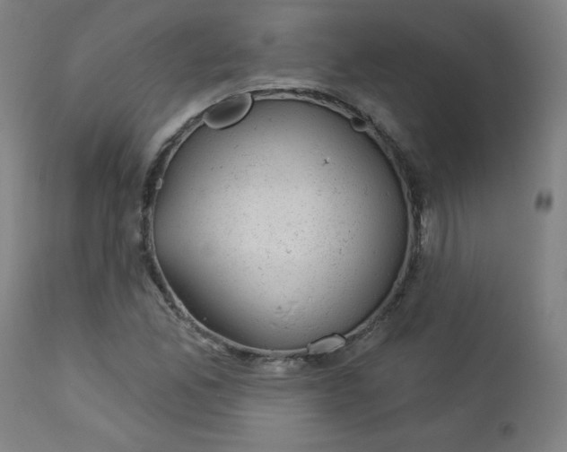 X0000112921165200909080927