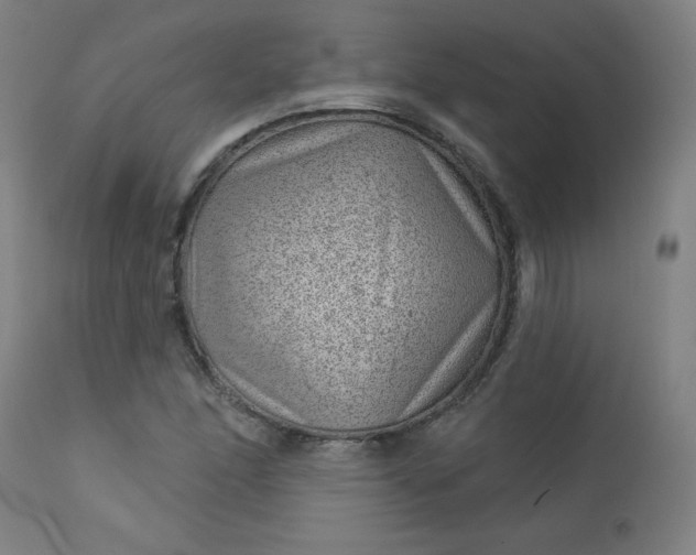 X0000112921166200909080927