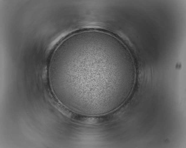 X0000112921167200909080927