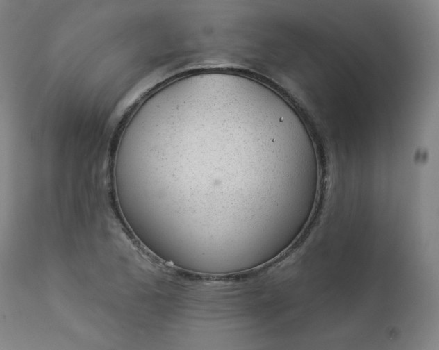 X0000112921173200909080927
